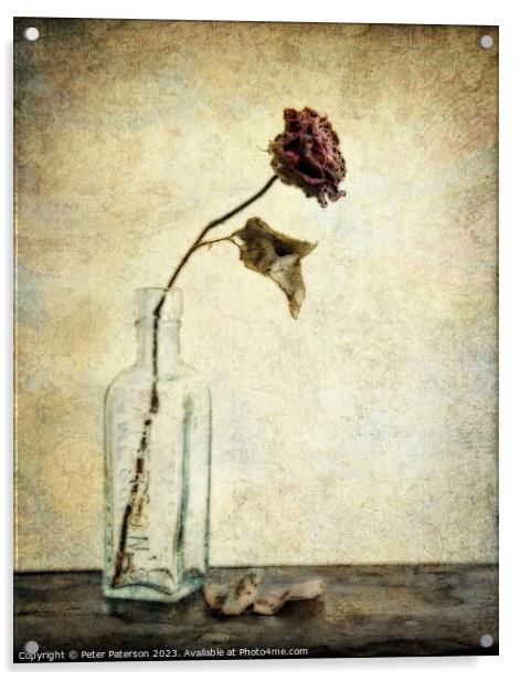 Rose in Antique Bottle Acrylic by Peter Paterson
