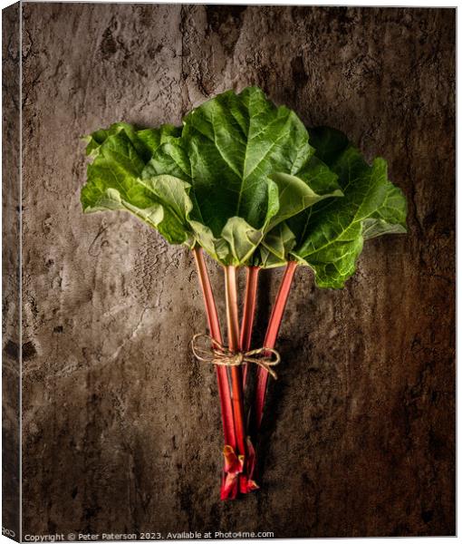 Rhubarb Canvas Print by Peter Paterson