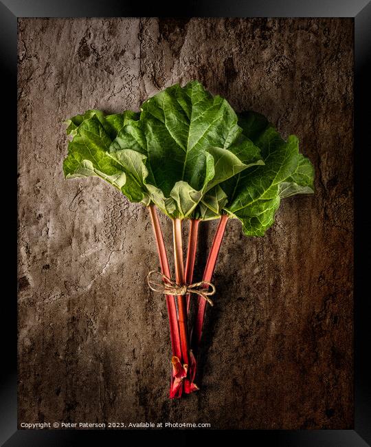 Rhubarb Framed Print by Peter Paterson