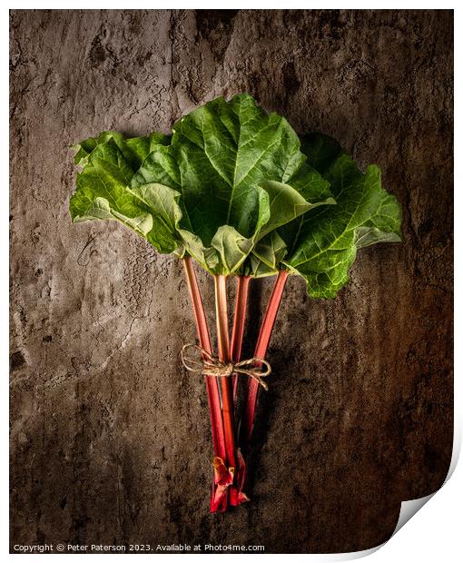 Rhubarb Print by Peter Paterson
