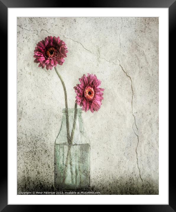 Two Flowers in Bottle Framed Mounted Print by Peter Paterson