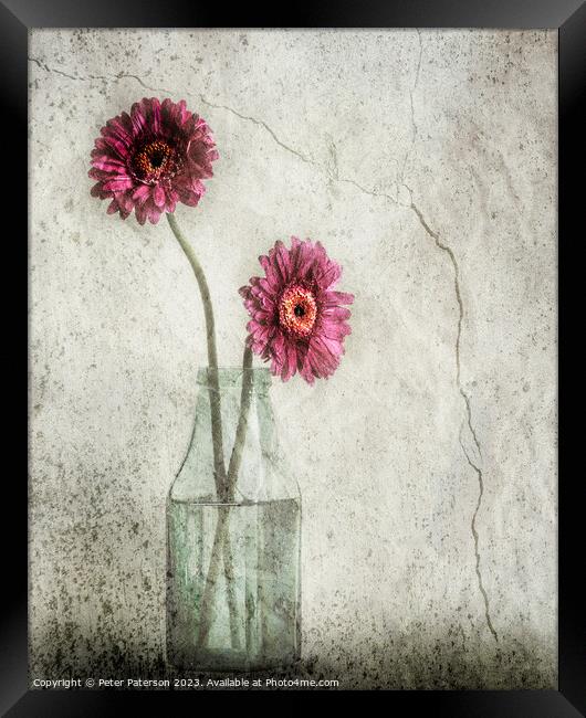 Two Flowers in Bottle Framed Print by Peter Paterson