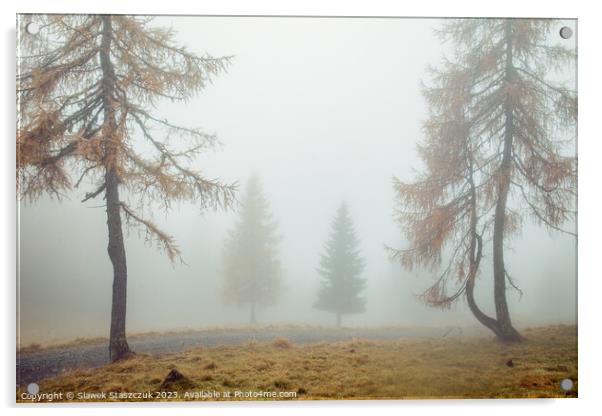 Strangers in the Fog Acrylic by Slawek Staszczuk