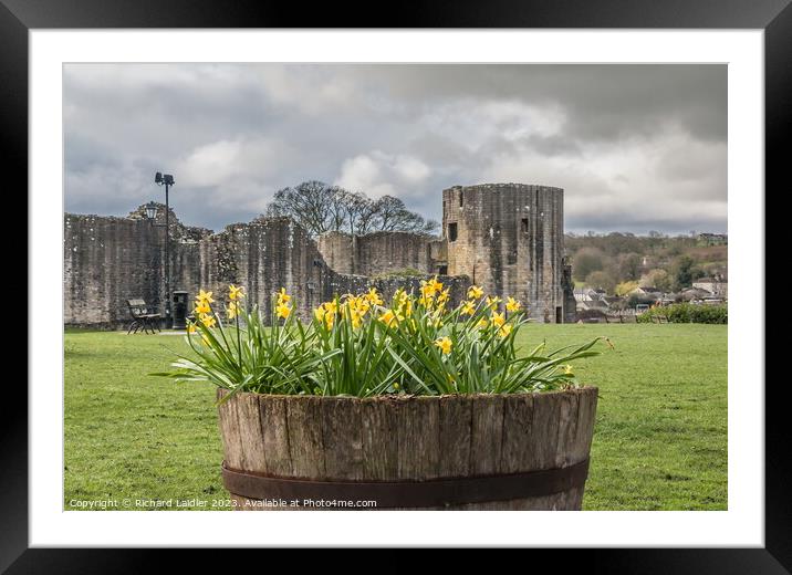Barnard Castle Ruins from Scar Top (1) Framed Mounted Print by Richard Laidler