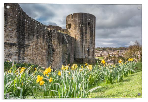 Barnard Castle ruins from Scar Top (3) Acrylic by Richard Laidler