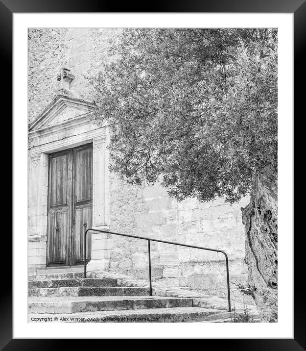 A beautiful old olive tree standing next to an old church, black and white Framed Mounted Print by Alex Winter
