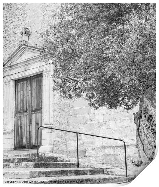 A beautiful old olive tree standing next to an old church, black and white Print by Alex Winter