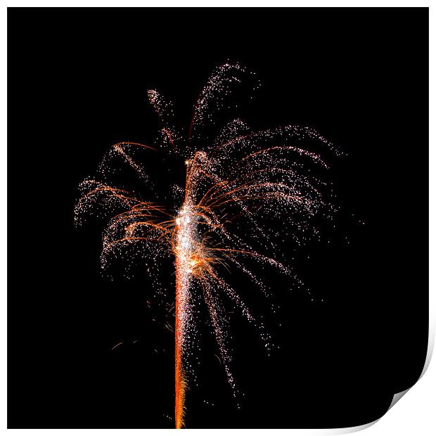 fireworks Print by Northeast Images