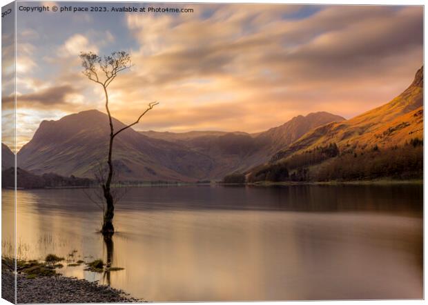 Lone Tree at Buttermere Canvas Print by phil pace