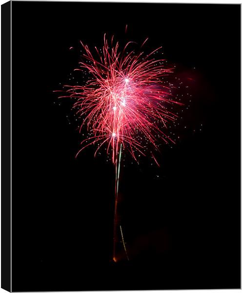 fireworks Canvas Print by Northeast Images