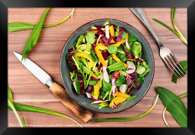 Vegetable vitamin salad with wild garlic Framed Print by Mykola Lunov Mykola
