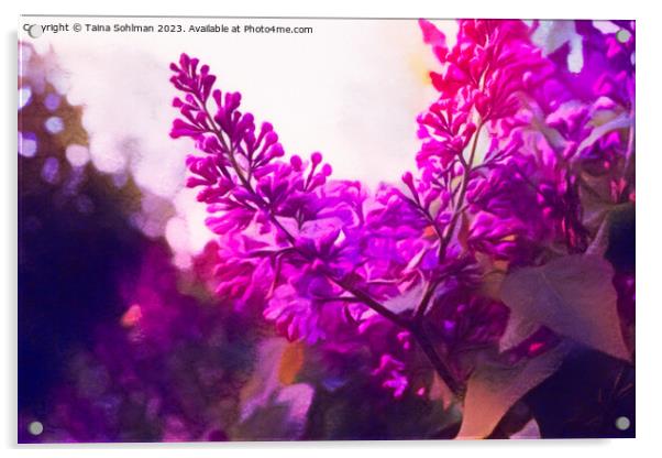 Dream of Lilacs 2 Acrylic by Taina Sohlman