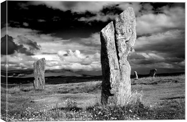 Callanish Standing Stones Canvas Print by Peter Paterson