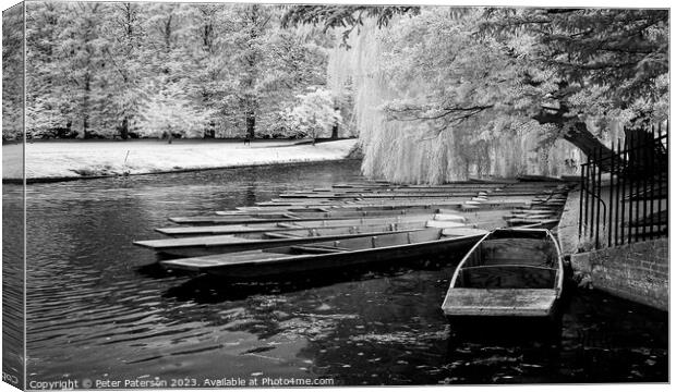 Punts Cambridge Canvas Print by Peter Paterson