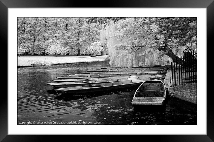 Punts Cambridge Framed Mounted Print by Peter Paterson
