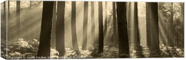 Misty Forest panorama  Canvas Print by Justin Foulkes