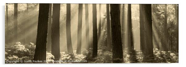 Misty Forest panorama  Acrylic by Justin Foulkes
