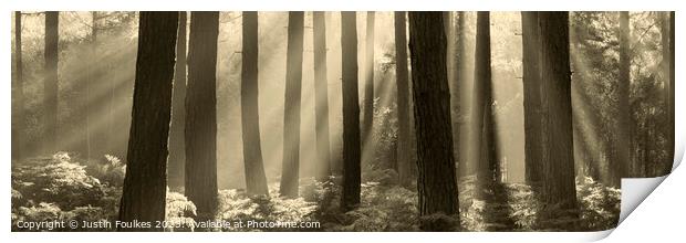 Misty Forest panorama  Print by Justin Foulkes