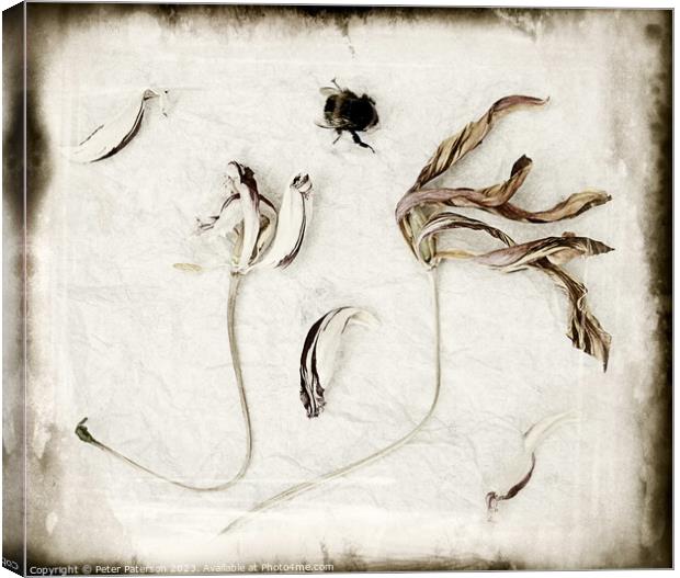 Dried Tulips with Bee Canvas Print by Peter Paterson