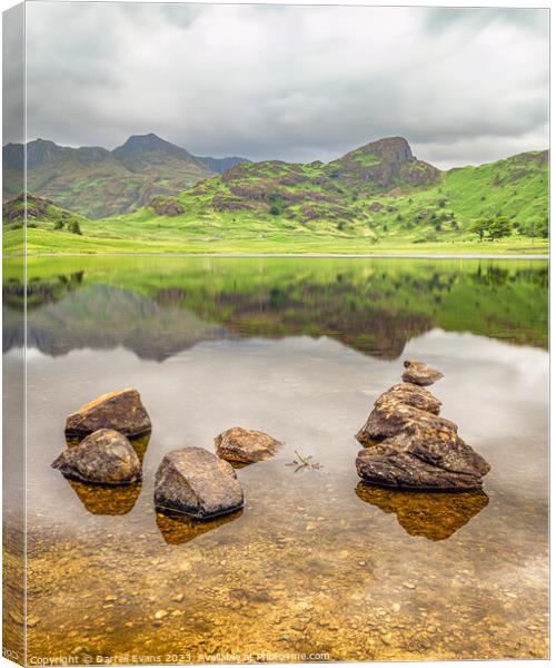 Stones of Blea Canvas Print by Darrell Evans