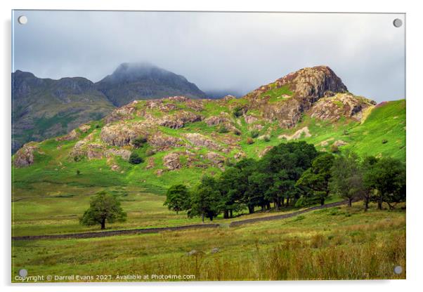 Lingmoor Fell Acrylic by Darrell Evans