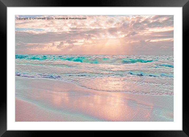 MORNING GLORY Framed Mounted Print by CATSPAWS 