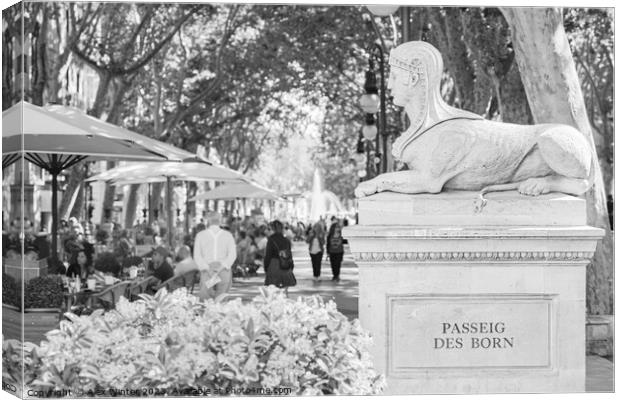 Passeig des Born, Palma Majorca, Spain, black and  Canvas Print by Alex Winter