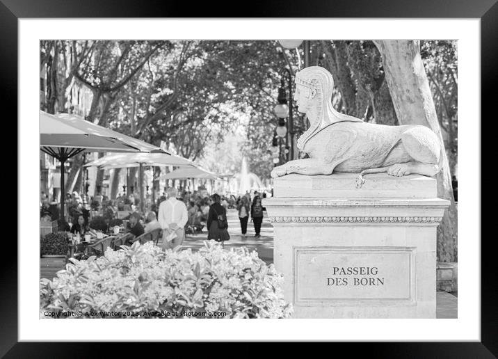 Passeig des Born, Palma Majorca, Spain, black and  Framed Mounted Print by Alex Winter