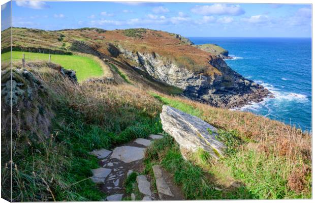 South West Coast Path to Tintagel Canvas Print by Tracey Turner