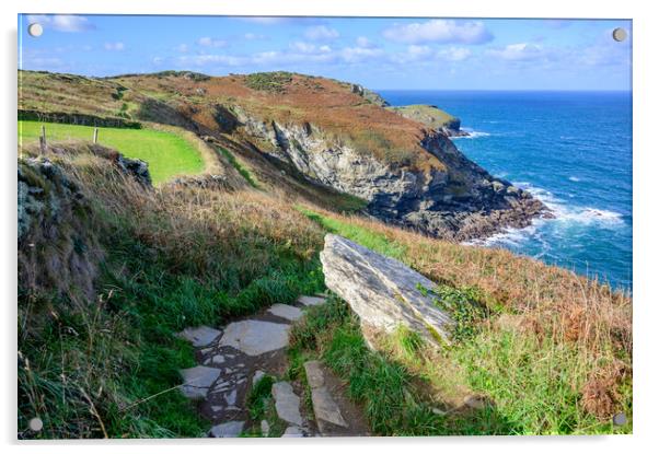 South West Coast Path to Tintagel Acrylic by Tracey Turner