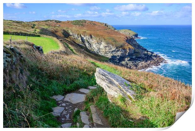 South West Coast Path to Tintagel Print by Tracey Turner