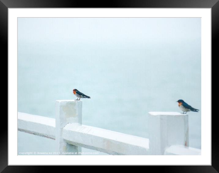 Two Pacific Swallows perched on a Pier fence Framed Mounted Print by Rowena Ko