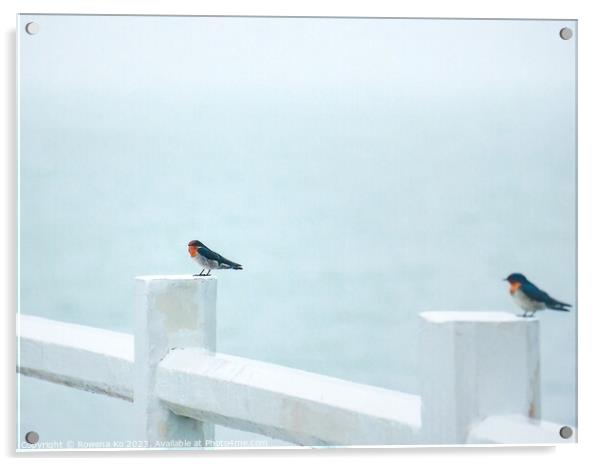 Two Pacific Swallows perched on a Pier fence Acrylic by Rowena Ko