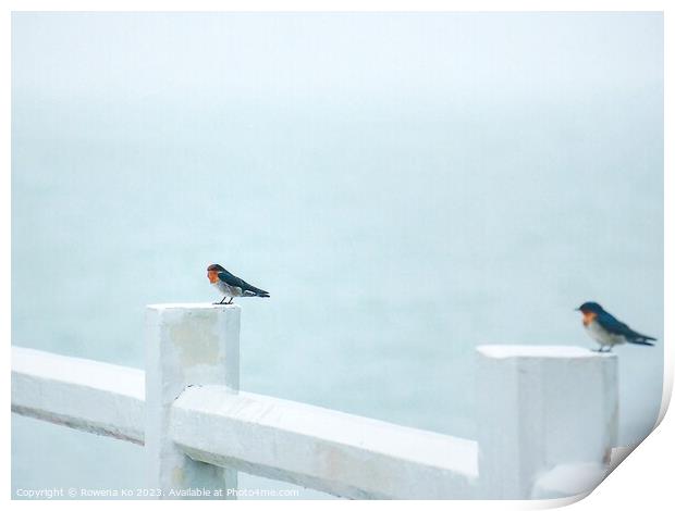 Two Pacific Swallows perched on a Pier fence Print by Rowena Ko