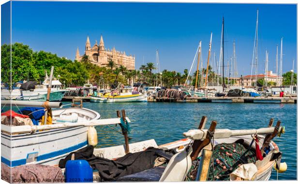 Palma de Majorca, harbor and Cathedral La Seu Canvas Print by Alex Winter