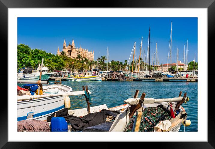 Palma de Majorca, harbor and Cathedral La Seu Framed Mounted Print by Alex Winter