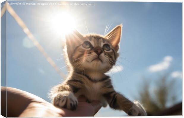 A human hand holds a small kitten in the air sunlight from the f Canvas Print by Michael Piepgras