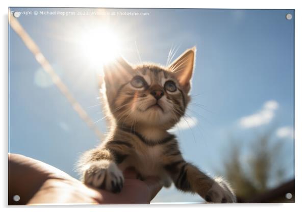 A human hand holds a small kitten in the air sunlight from the f Acrylic by Michael Piepgras