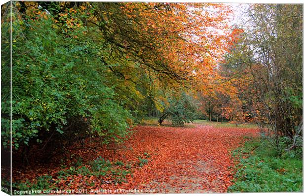 Nature's Axminster. Canvas Print by Colin Metcalf