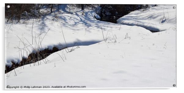 Snowy Landscape (33A) Acrylic by Philip Lehman