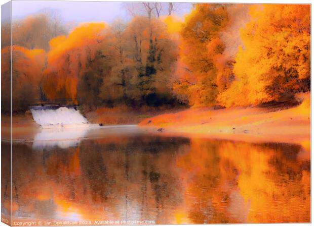 Golden Reflections Canvas Print by Ian Donaldson