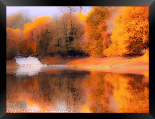 Golden Reflections Framed Print by Ian Donaldson