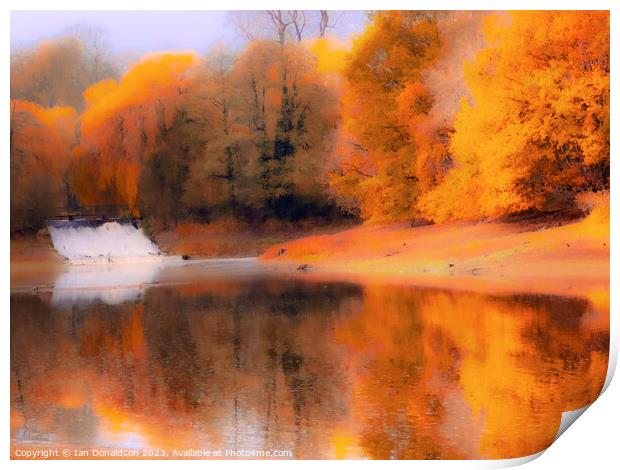 Golden Reflections Print by Ian Donaldson