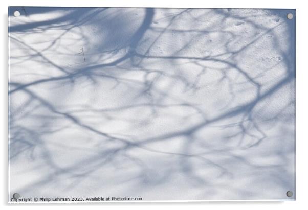 Snowy Landscape (37A) Acrylic by Philip Lehman
