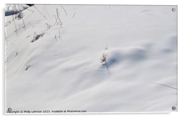 Snowy Landscape (42A) Acrylic by Philip Lehman