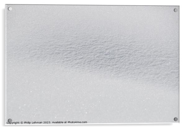 Snowy Landscape (54A) Acrylic by Philip Lehman
