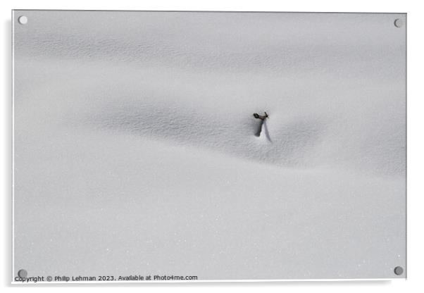 Snowy Landscape (52A) Acrylic by Philip Lehman