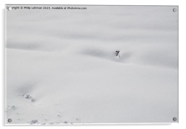 Snowy Landscape (57A) Acrylic by Philip Lehman