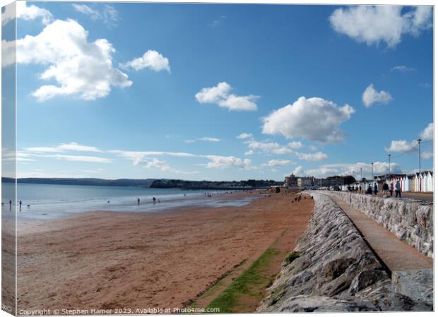 Blissful Beach Sunday Canvas Print by Stephen Hamer