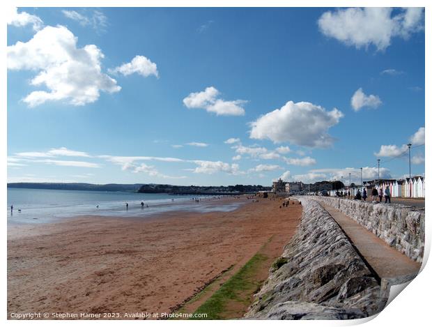 Blissful Beach Sunday Print by Stephen Hamer